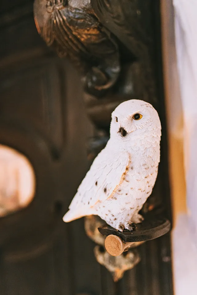白いフクロウの扉（4）